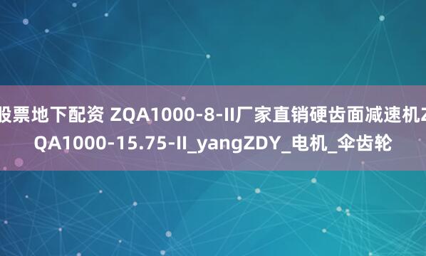股票地下配资 ZQA1000-8-II厂家直销硬齿面减速机ZQA1000-15.75-II_yangZDY_电机_伞齿轮