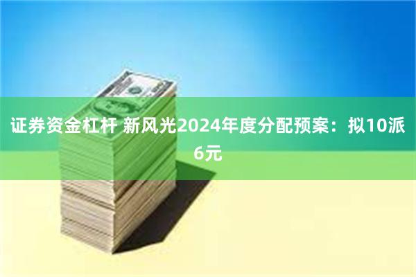 证券资金杠杆 新风光2024年度分配预案：拟10派6元