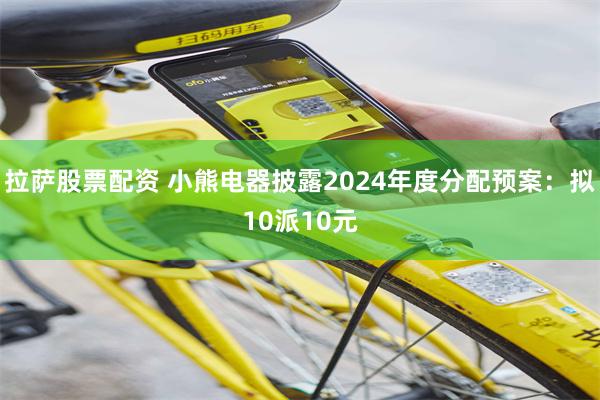 拉萨股票配资 小熊电器披露2024年度分配预案：拟10派10元