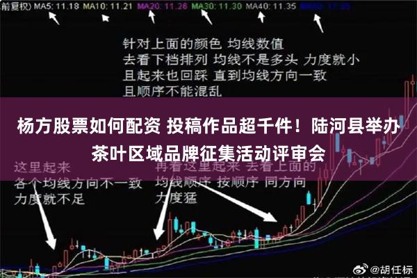杨方股票如何配资 投稿作品超千件！陆河县举办茶叶区域品牌征集活动评审会