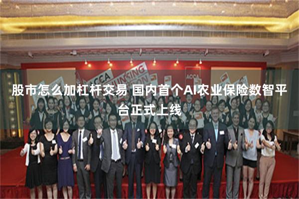 股市怎么加杠杆交易 国内首个AI农业保险数智平台正式上线