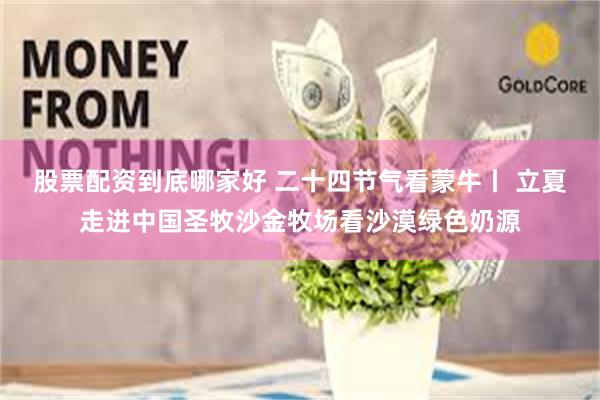 股票配资到底哪家好 二十四节气看蒙牛丨 立夏走进中国圣牧沙金牧场看沙漠绿色奶源
