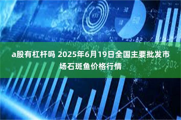 a股有杠杆吗 2025年6月19日全国主要批发市场石斑鱼价格行情