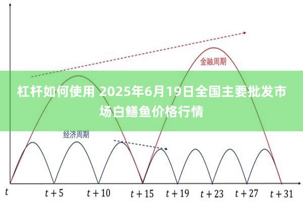 杠杆如何使用 2025年6月19日全国主要批发市场白鳝鱼价格行情