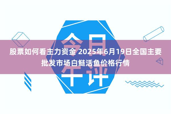 股票如何看主力资金 2025年6月19日全国主要批发市场白鲢活鱼价格行情